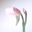 NO PHOTO U-u01-3
