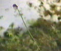 NO PHOTO U-v01-2