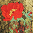 Peony (2014)