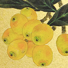 Fruit (2013)