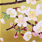 Cherry Blossoms (2011)