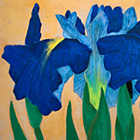 Irises