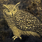 owl (2023)