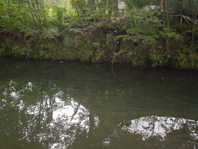 Photo of the stream, far side bank with drain pipe!?