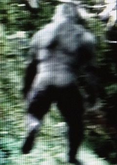 bigfoot