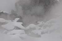 IMG_4-4155