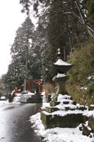 IMG_T4142