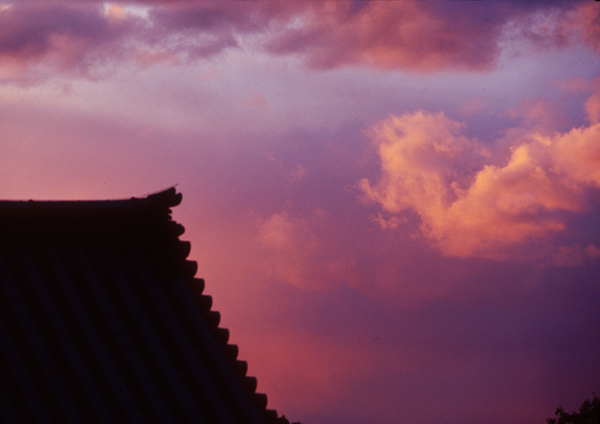 Todaiji007