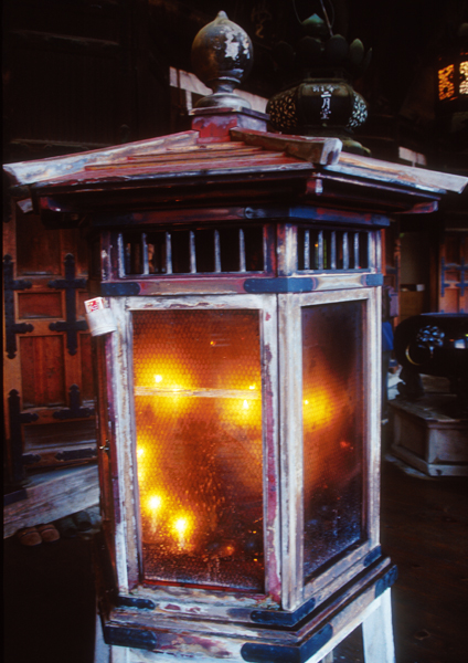 Todaiji018