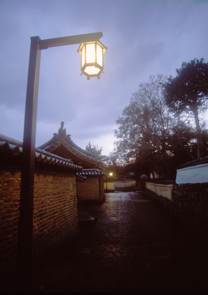 Todaiji031