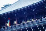 Todaiji024