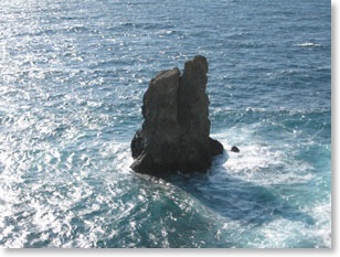 ougonzaki7