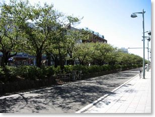 wakamiyadaiji