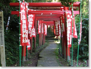 sasukeinari