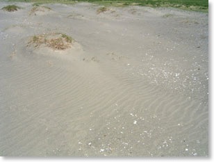 sand