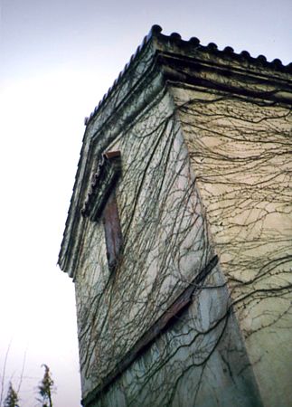 21.jpg (33711 bytes)