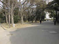 wpeB4.jpg (36200 バイト)