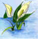 wpeA.jpg (57117 oCg)
