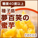 セシール - 種子島　夢百笑の蜜芋