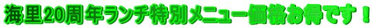 C20N`ʃj[iłI