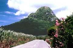 �摜�w��R(2)�x