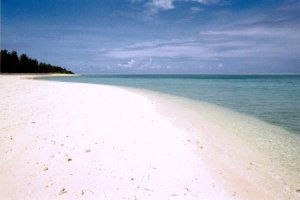 �摜�w�ɍ]�r�[�`(1)�x