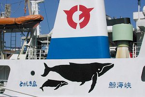 �摜�w�t�F���[����܁x