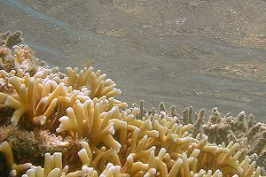 �摜�w�n�Õ~�̊C�E����3�x