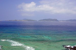 �摜�w�W�]�䂩�爢�Ó������x