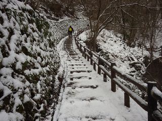 �����̑�