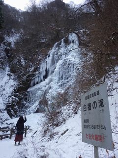 �����̑�