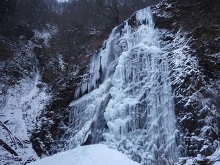 �����̑�