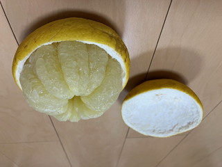 �y�����U