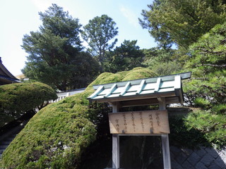 �����V�c ���\�Ɏ���