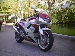 fzr1