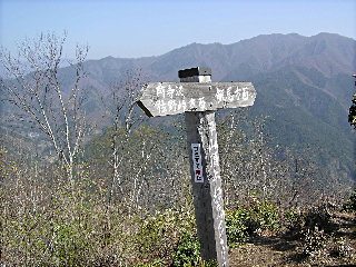 坪山山頂から三頭山を望む