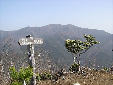 坪山山頂から三頭山を望む