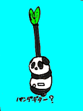 panda