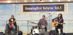 Tactful Walrus's HUMMING BIRD Home Page