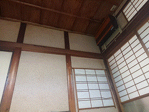 TACTFUL WALRUS's have_a_happy_life_my_house