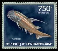 アカントデス目