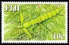 Scott:1107