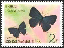 Scott:SG1627