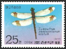 Scott:SG1631