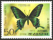 Scott:SG1632