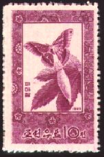 Scott:SG647