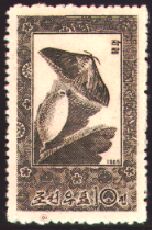 Scott:SG646