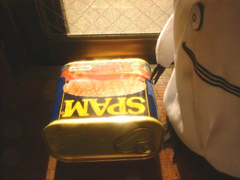 SPAM とだいちゃん、照りつける朝日の中で。 spam_and_dai-chan.jpg (31 KB)