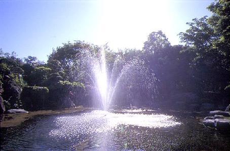 �N���̑���