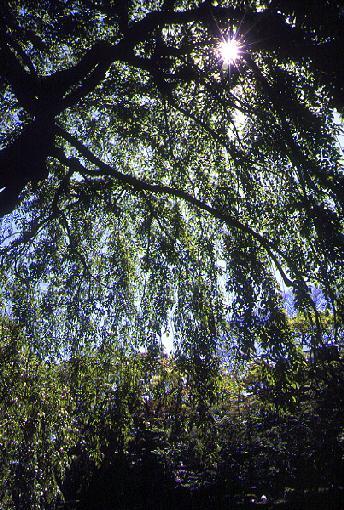 �~�蒍����